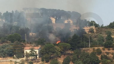 Ancora incendi, il fuoco ora 