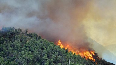 Emergenza incendi, un errore aver soppresso il Corpo forestale dello Stato
