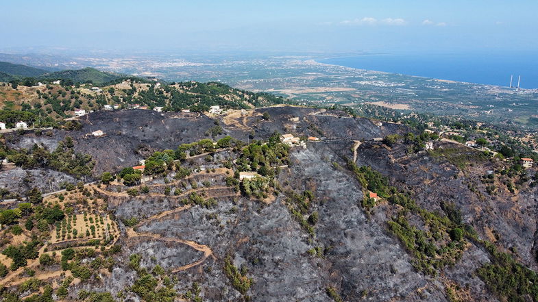 Incendio a Co-Ro, la giunta comunale valuterà la richiesta di riconoscimento di calamità naturale