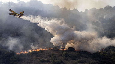 Incendi in Calabria, ora il Movimento 5 Stelle preme: «Serve riorganizzare Calabria Verde»