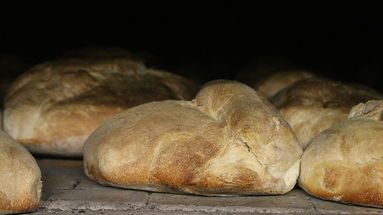 Cerchiara fa festa con il pane, l'olio e gli altri prodotti d'eccellenza