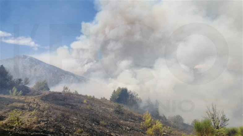 Torna a bruciare la Sibaritide-Pollino: mega incendio ad Albidona