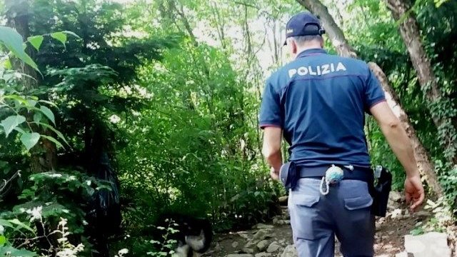 Un altro arresto per droga a Corigliano-Rossano, un 67enne con una mini-piantagione di canapa