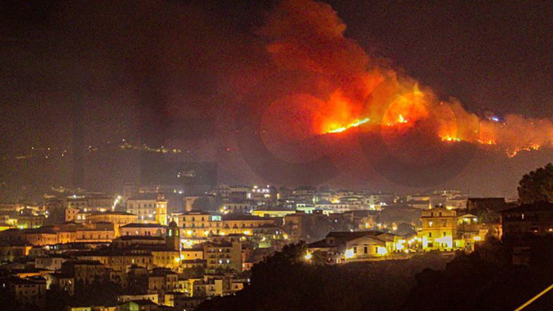 Co-Ro, deliberato in Consiglio comunale di rafforzare la richiesta di restituzione delle proprietà boschive