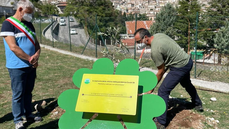 Morano Calabro, piantumato ieri l’albero del ricordo in memoria delle vittime del covid