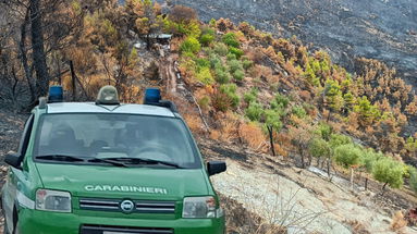 Individuato il presunto piromane dell'incendio di Albidona