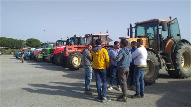 Aumento dei prezzi delle materie prime, gli agricoltori e allevatori della Sibaritide: «Siamo al collasso»