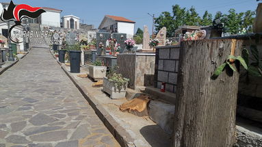 Caloveto, taglio dei cipressi al Cimitero: denunciato il responsabile dell’ufficio tecnico