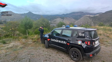 Controlli dei Carabinieri Forestali: denuncia per pascolo abusivo e sequestro di fabbricato abusivo