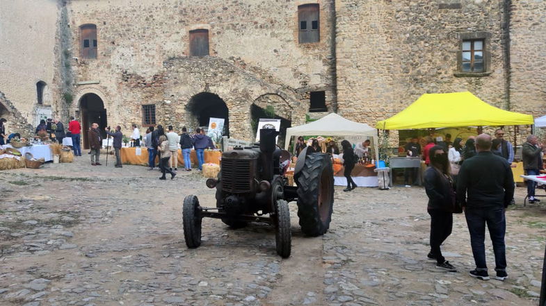 Cerchiara, i frantoi e l'olio protagonisti dello storytelling territoriale