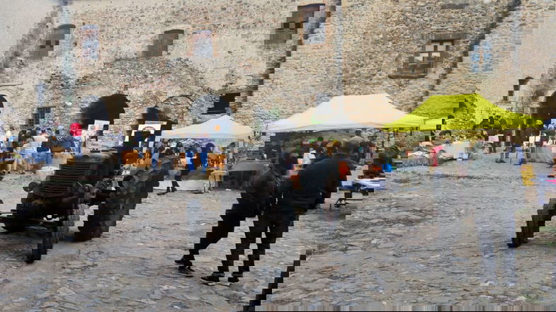 Cerchiara, i frantoi e l'olio protagonisti dello storytelling territoriale