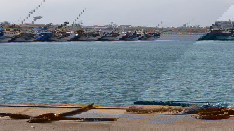 Porto Co-Ro, approvato l'adeguamento tecnico funzionale: ora si può realizzare la banchina crocieristica