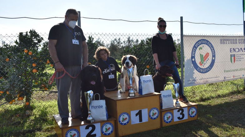 Si è svolto a Cassano il campionato multidisciplinare regionale cinofilo promosso da Endas