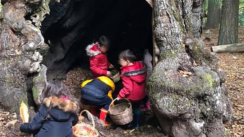 I Giganti di Cozzo del Pesco incantano i bimbi di Corigliano-Rossano che fanno scuola tra i boschi