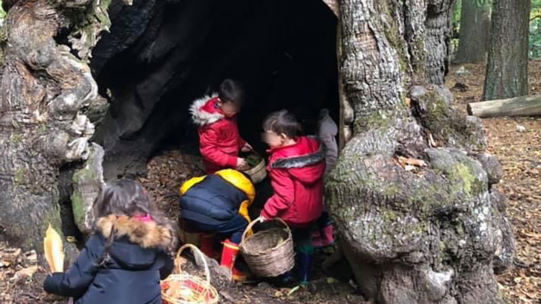 I Giganti di Cozzo del Pesco incantano i bimbi di Corigliano-Rossano che fanno scuola tra i boschi