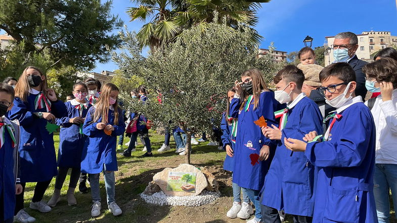 Anche Cassano ha celebrato la festa dell'albero. Ecco come