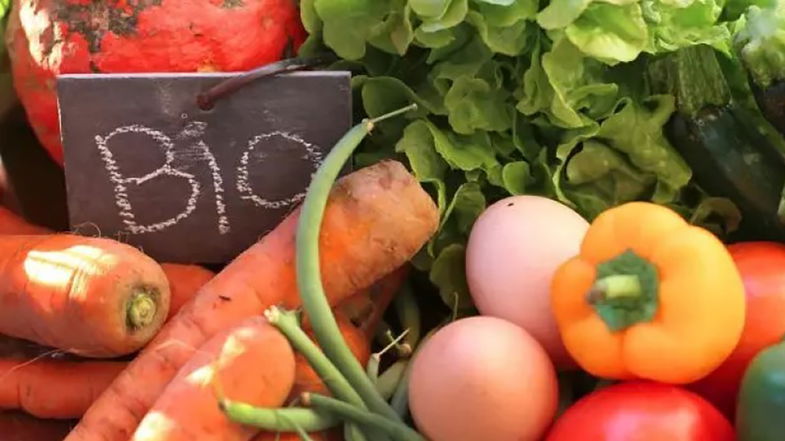 Alla mensa scolastica di San Giorgio Albanese si mangia cibo biologico e locale