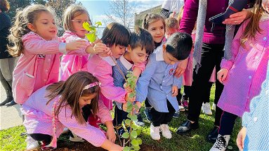 Altomonte, per la Giornata dell’albero messe a dimora 11 nuove piantine nelle scuole 
