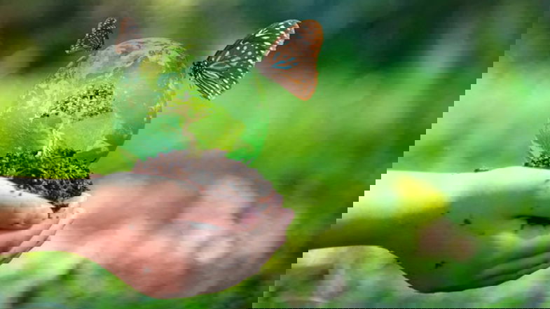 Biodiversità e funzioni ecosistemiche: le potenzialità delle microfiliere del Gal in ambito europeo