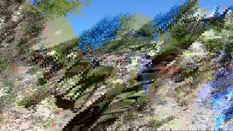 Esplorare la Sila facendo trekking… con gli asini