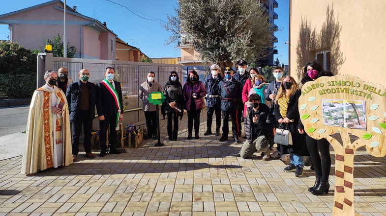 Anche a Crosia piantato l'Albero del Ricordo in memoria delle vittime del Covid-19