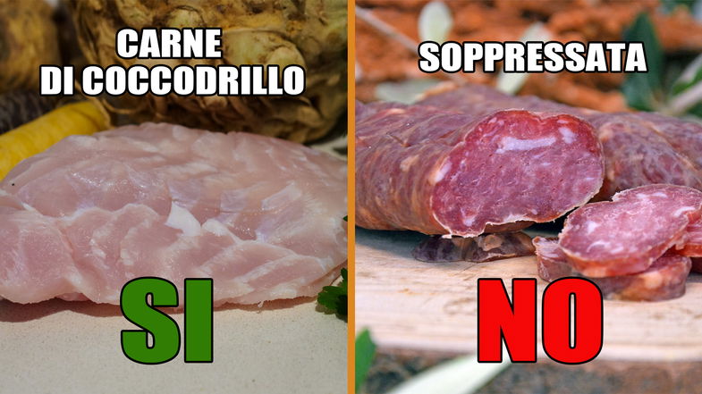 Dopo insetti, pronti a sperimentare nuovi orizzonti culinari: ok a carne coccodrillo. Però soppressata rimane