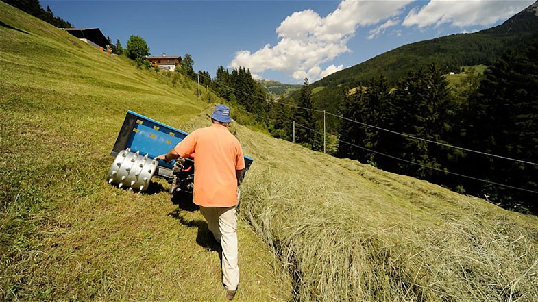 Legge di Bilancio, previsti strumenti e risorse per lo sviluppo dell'agricoltura in montagna