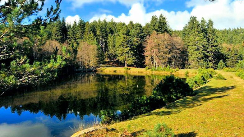 La Riserva MaB Sila partecipa all’evento “Foreste sane e resilienti tra conservazione e uso sostenibile”