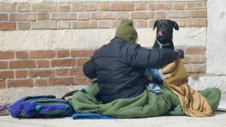 Assistenza gratuita e solidale ai cani dei senzatetto: è partito un progetto pilota