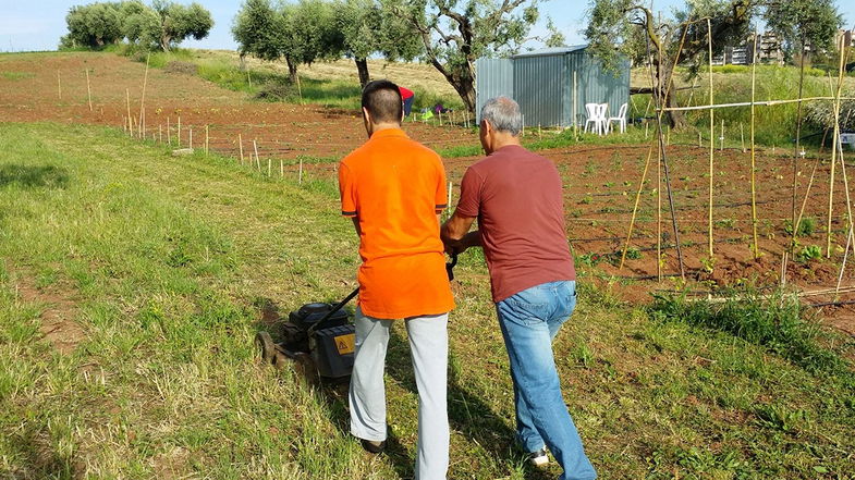 Form4Autism, è nata una fattoria per favorire l'autonomia e l'integrazione dei ragazzi autistici