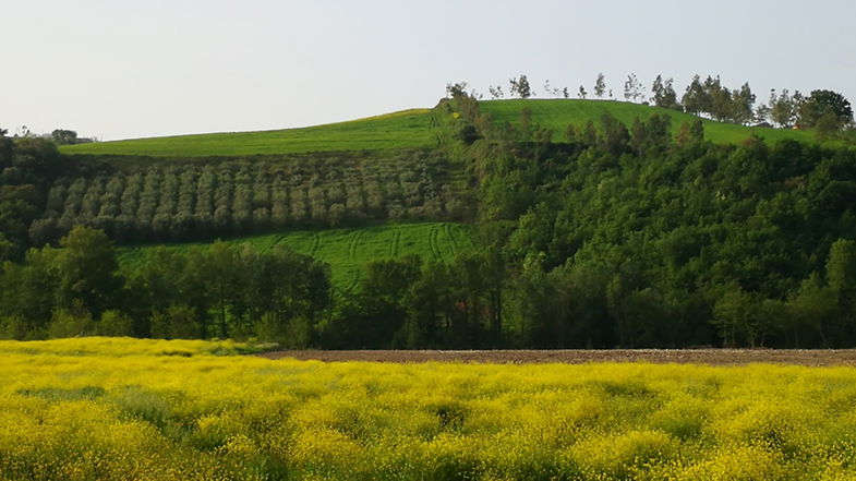 Gal Valle del Crati, nuova opportunità di sostegno economico per le aziende agricole 