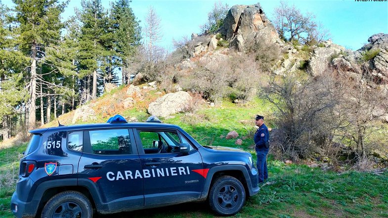 Controlli e denunce dei Carabinieri Forestale: rinvenute opere edili abusive e occupazione di suolo demaniale
