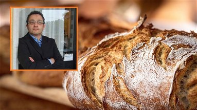 Il costo del pane potrebbe aumentare ancora. «Si rischia di affamare ulteriormente tante famiglie»