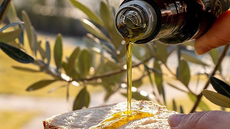 Innovazione in agricoltura: Un frantoio moderno per ottenere un olio evo di qualità