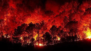 Piano antincendio boschivo, milioni di euro per tutelare l’enorme patrimonio naturalistico regionale