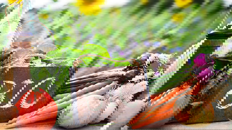 Il ddl sul Biologico è una «grande opportunità per la Calabria, regione leader nel settore»