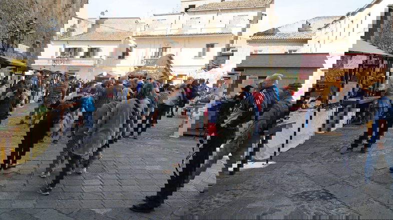 Ritorna AgriTerranova, tre appuntamenti per l'evento che promuove il settore agricolo dell'antico borgo