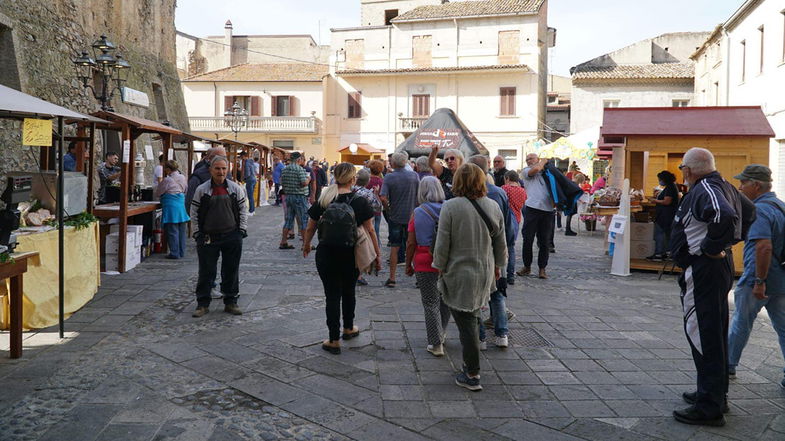 Ritorna AgriTerranova, tre appuntamenti per l'evento che promuove il settore agricolo dell'antico borgo 