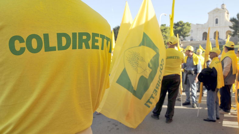 Allevatori e agricoltori scendono in piazza contro il caro energia: «Aziende a rischio chiusura»