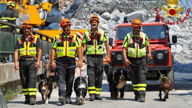 La petizione on-line dei Vigili del Fuoco arriva in Senato