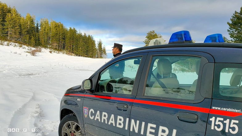 I carabinieri forestali tracciano il bilancio di un anno intenso di attività