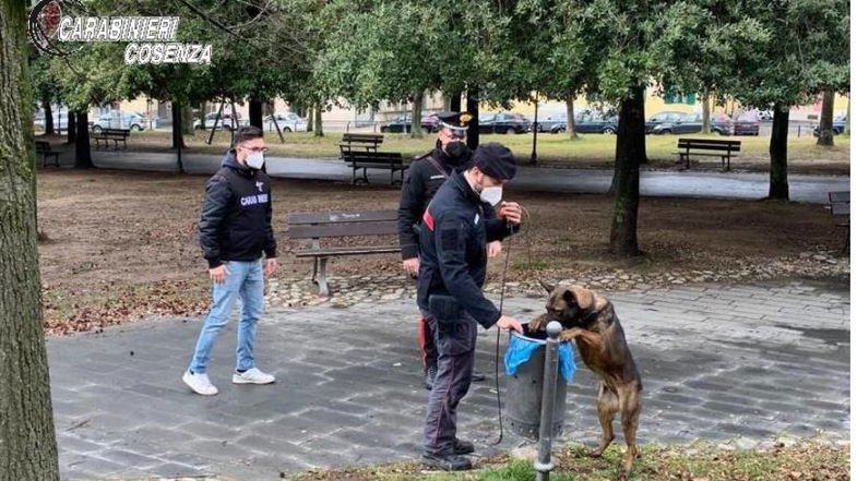 Controlli e prevenzione antidroga dei carabinieri nelle scuole