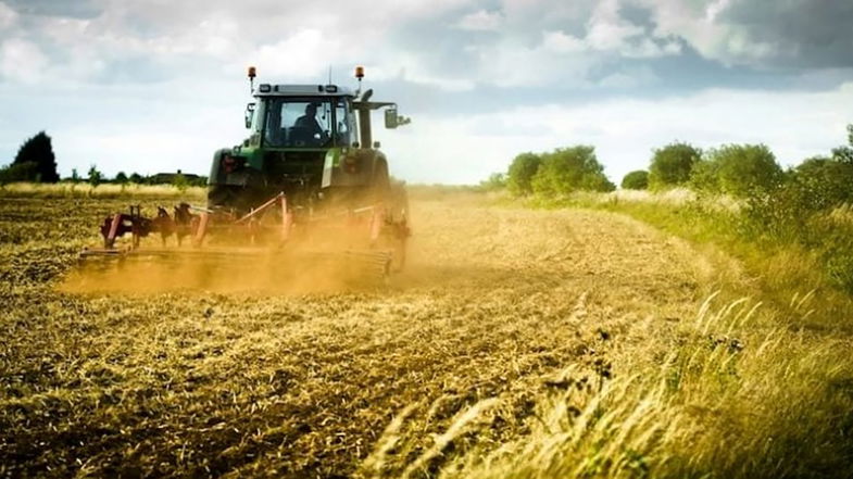 Aziende agricole costrette a chiudere e prezzi alle stelle: gli effetti della guerra fanno eco in Calabria