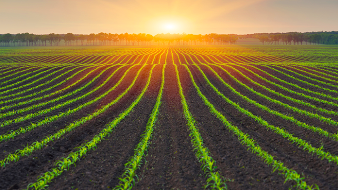 Politiche agricole e transazione ecologica: arrivano risposte importanti per la Regione 