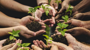 Nuovi prodotti e nuovi mercati: La multifunzionalità delle Aziende Agricole