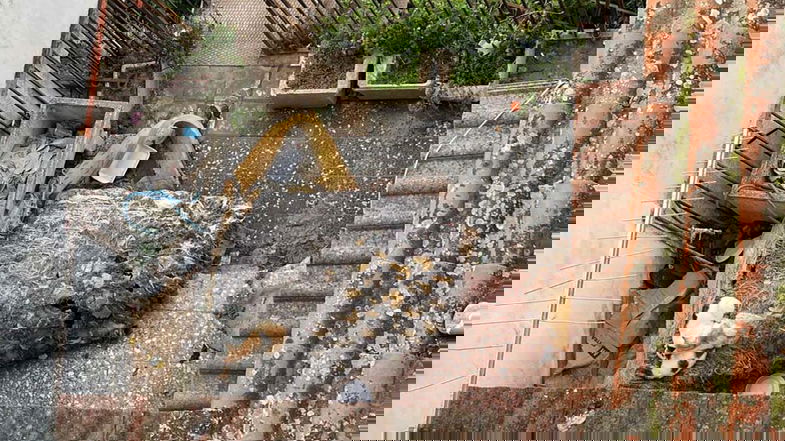 Centro storico di Rossano al degrado: situazione sempre «più indecente ed insostenibile»