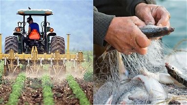 Co-Ro in Azione presenta una mozione sulla “filiera corta Agricola e Ittica”