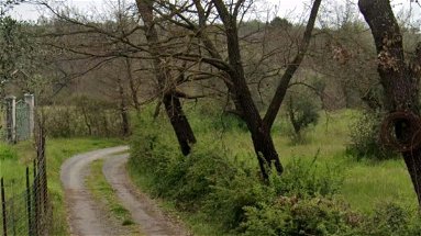 A Saracena «si rafforza il progetto di sviluppo aree rurali»: finanziata la strada Piano di Pallotta/la Caccia 