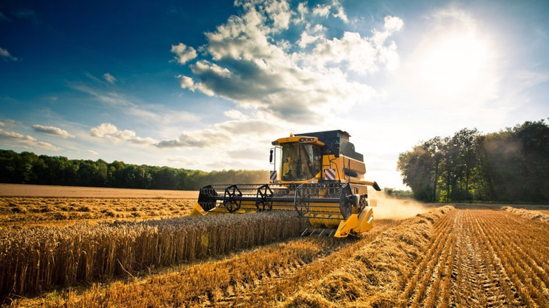 In arrivo altri 2 mln per sostenere infrastrutture a servizio delle aziende agricole e silvicole