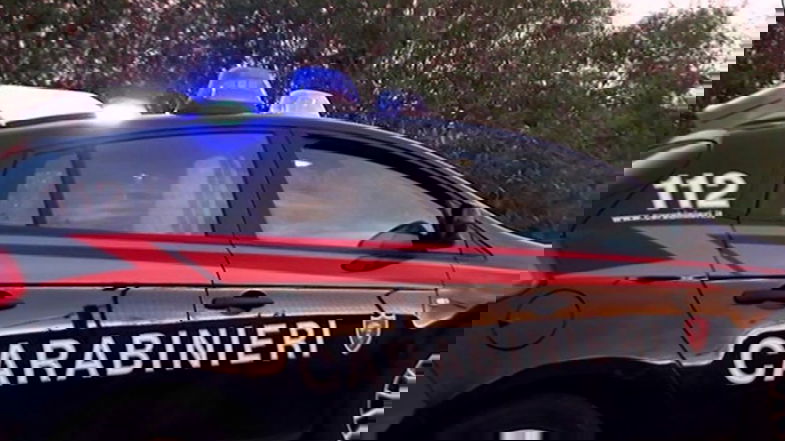 Il Pd regionale «ringrazia i Carabinieri per l’esito dell’operazione Deep a tutela dell’ambiente»